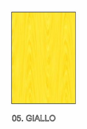 Oboe Reed Case "Standard" model (from 16 to 20 places)