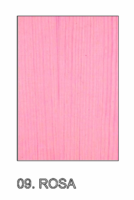 Oboe Reed Case "Standard" model (from 16 to 20 places)