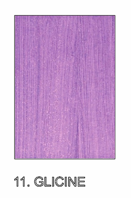 Oboe Reed Case "Standard" model (from 16 to 20 places)