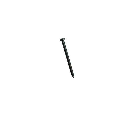 Steel Nails Domed Head